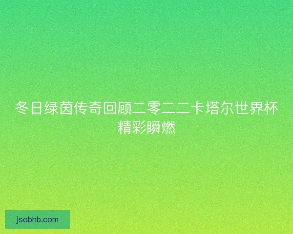 冬日绿茵传奇回顾二零二二卡塔尔世界杯精彩瞬燃