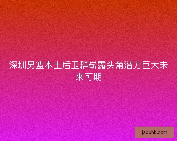 深圳男篮本土后卫群崭露头角潜力巨大未来可期
